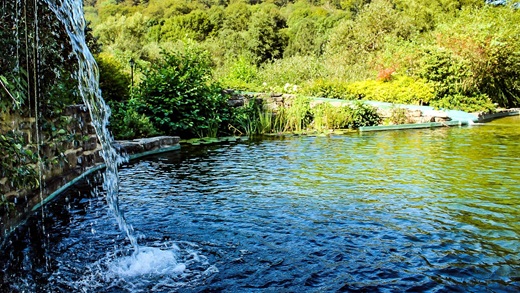 Schwimmteich Wasserfall