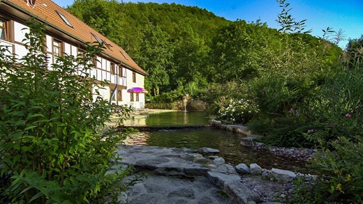 Schwimmteich Sonne