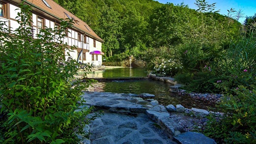 Schwimmteich Sonnenschein